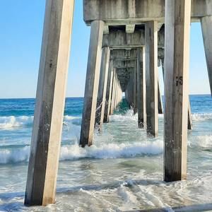 Meet your Posher, Adam